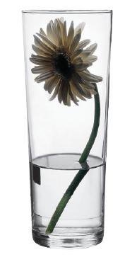 Ваза из стекла Flora Артикул: 43177 Ваза из стекла Flora Артикул: 43177