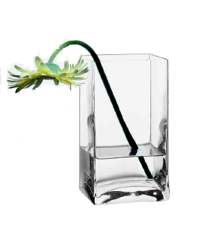 ���� �� ������ Flora 80136