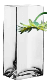 ���� �� ������ Flora 80137