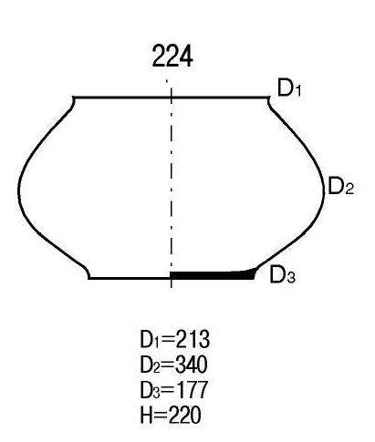 ���� �� ������ V-224